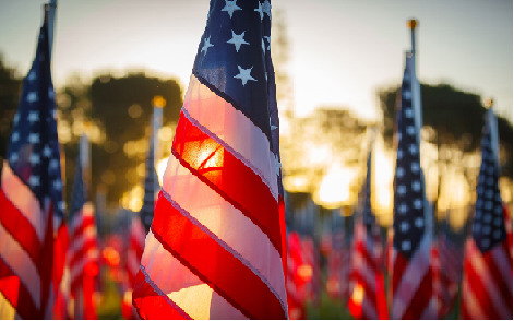Row of American Flags